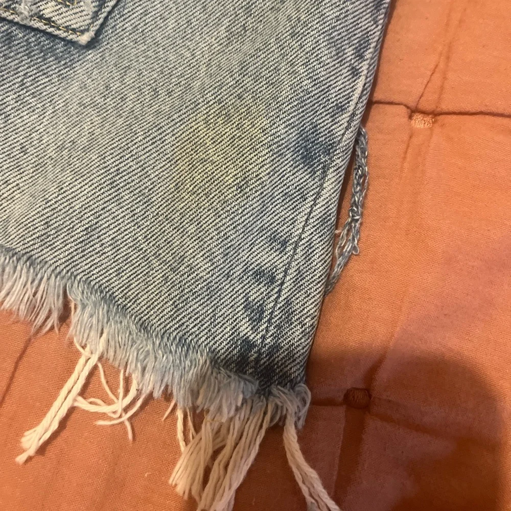 Agolde Parker Denim Jean Shorts